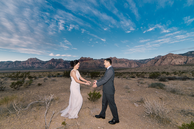 Getting Married In Red Rock Canyon 03