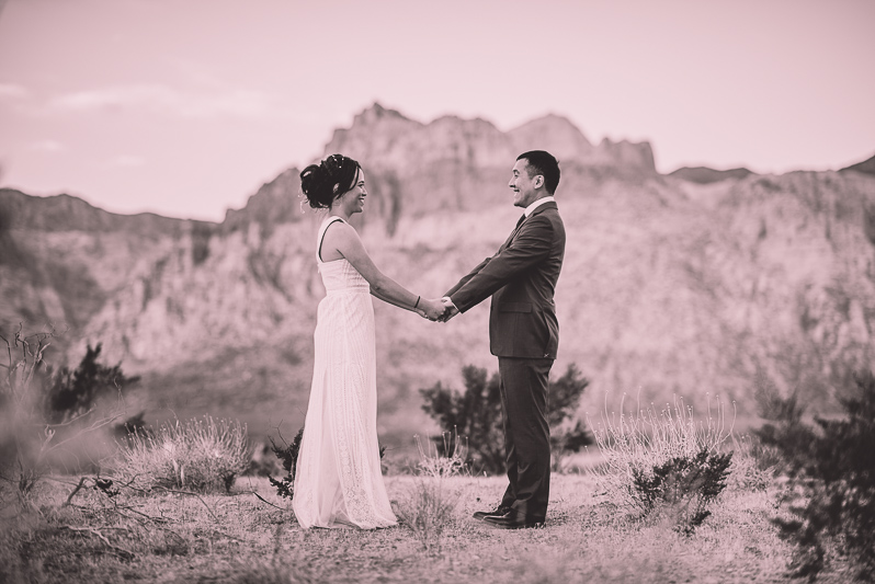 Getting Married In Red Rock Canyon 05
