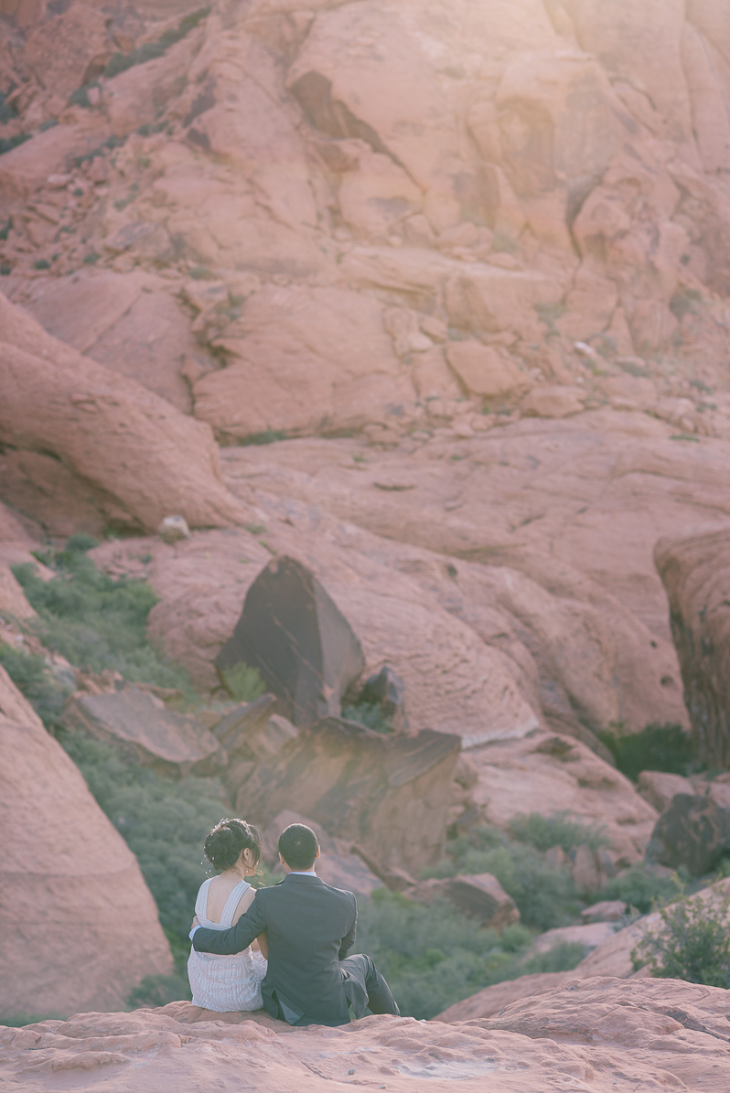 Getting Married In Red Rock Canyon 19b